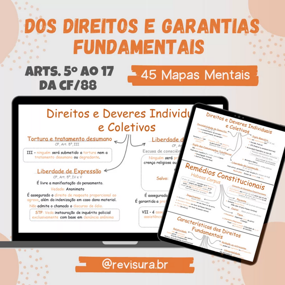Mapas Mentais Mobral