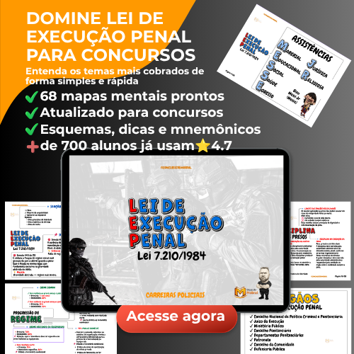 Lei de execução penal